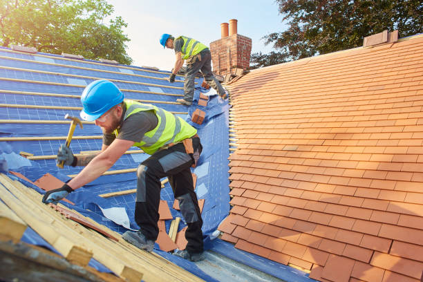 Best Solar Panel Roofing Installation  in Riverview, SC